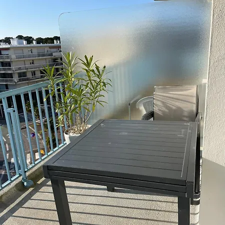 T 3 Place Des Palmiers Les Pins Daire *